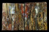Tall, Petrified Wood Rip-Cut Bookends - Nevada #166084-1
